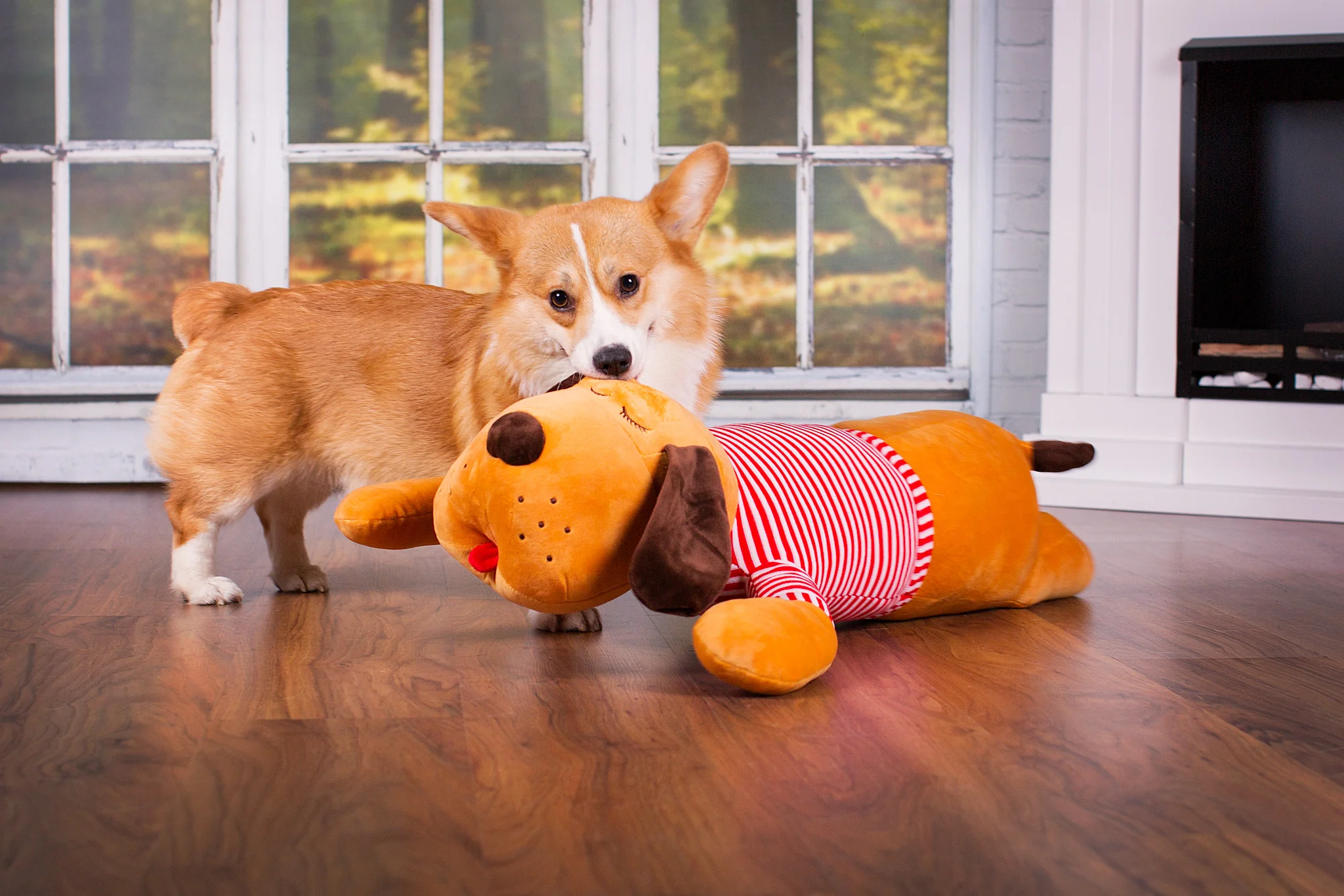 Ankuschelhund TOMTE - Image 8
