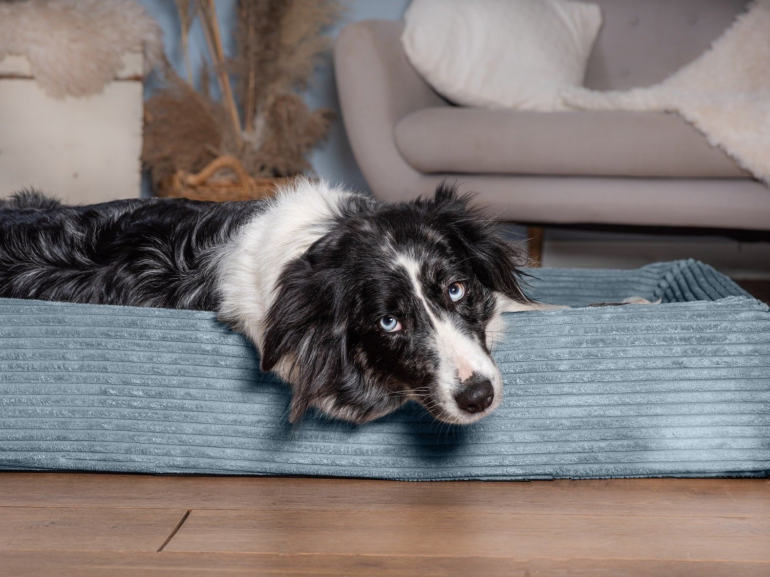 Hundebett KUDDE Cord - Image 10