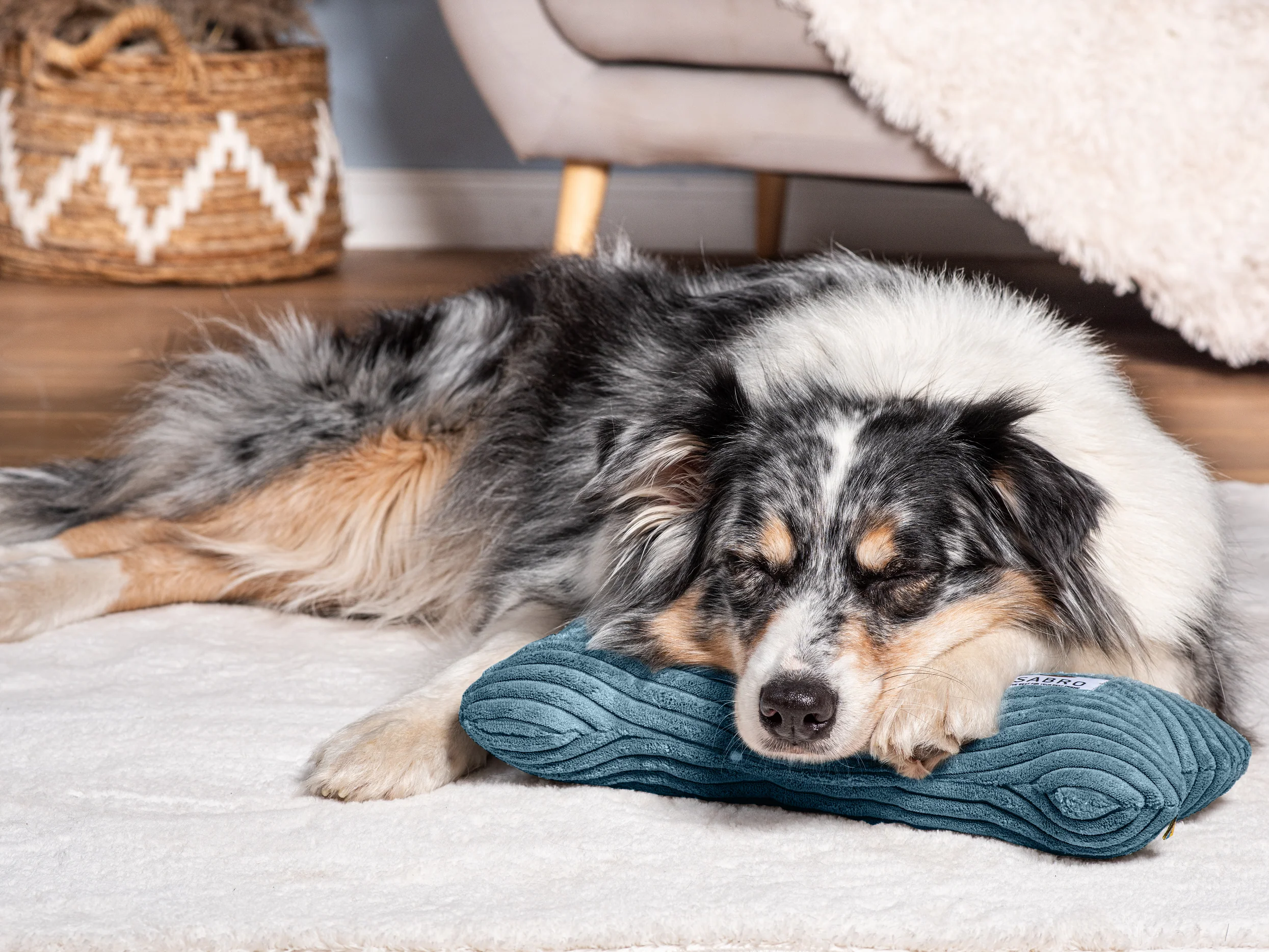 Kissen KUSCHELKNOCHEN Cord - Image 8