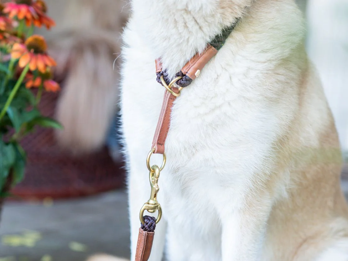 Hundehalsband OUTDOOR Rundzug - Image 3