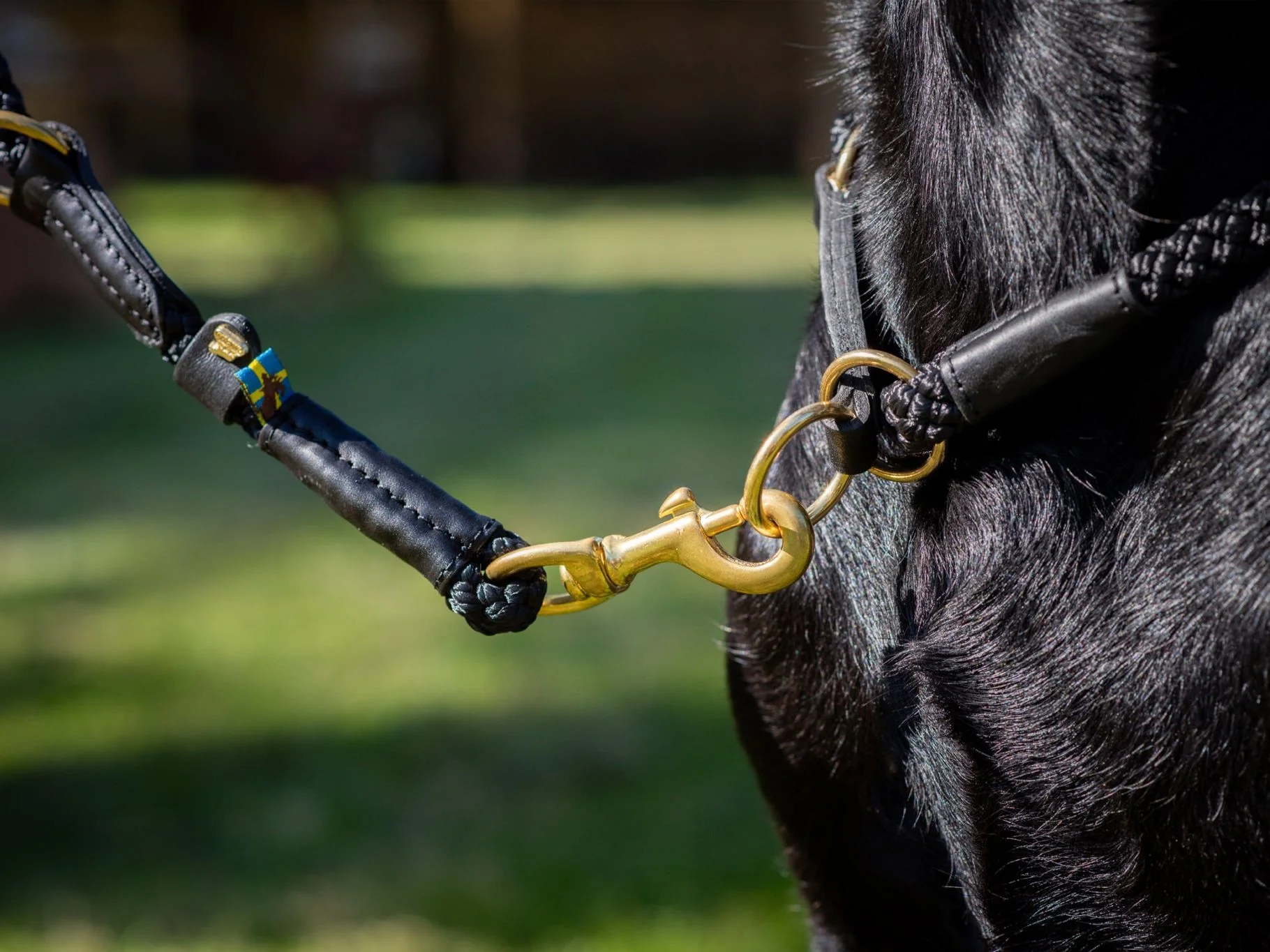 Hundehalsband OUTDOOR Rundzug - Image 7